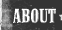 About Bushpoll.com